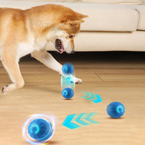 Souqliy Shop - Gravity Smart Bouncing Ball