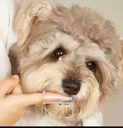Souqliy Shop - Silicone Pet Brush